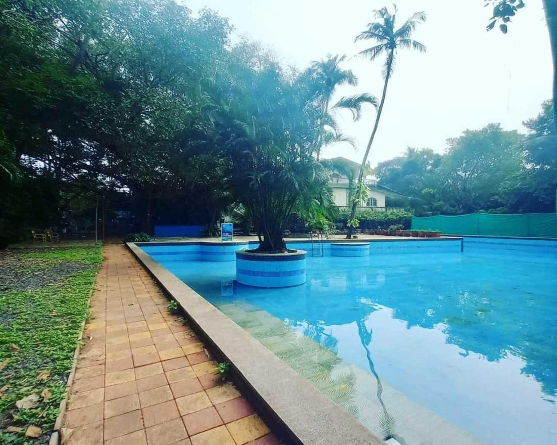 Piggy Calangute By Urban Nomads - Dorms & Pvt Rooms Экстерьер фото